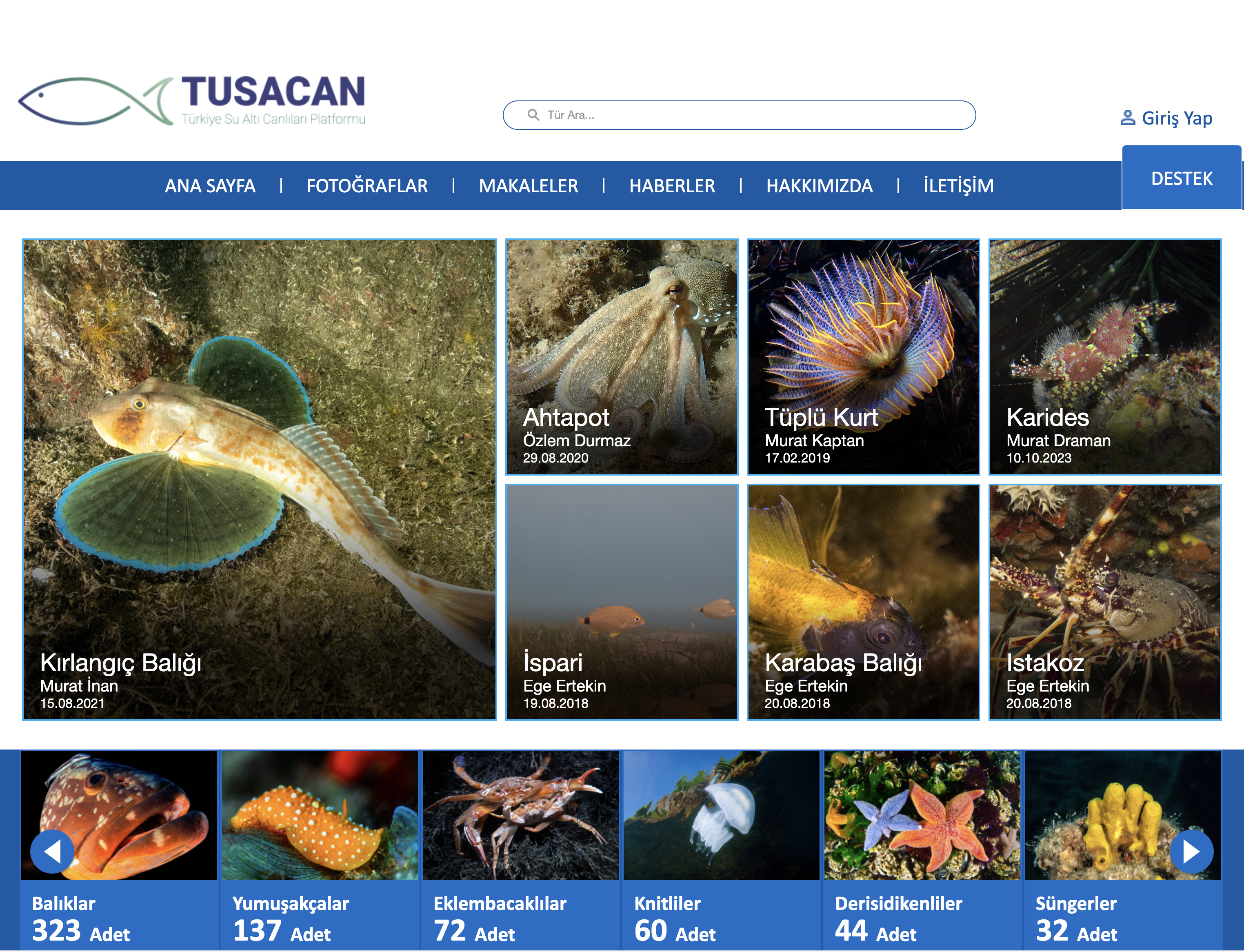 tusacan1