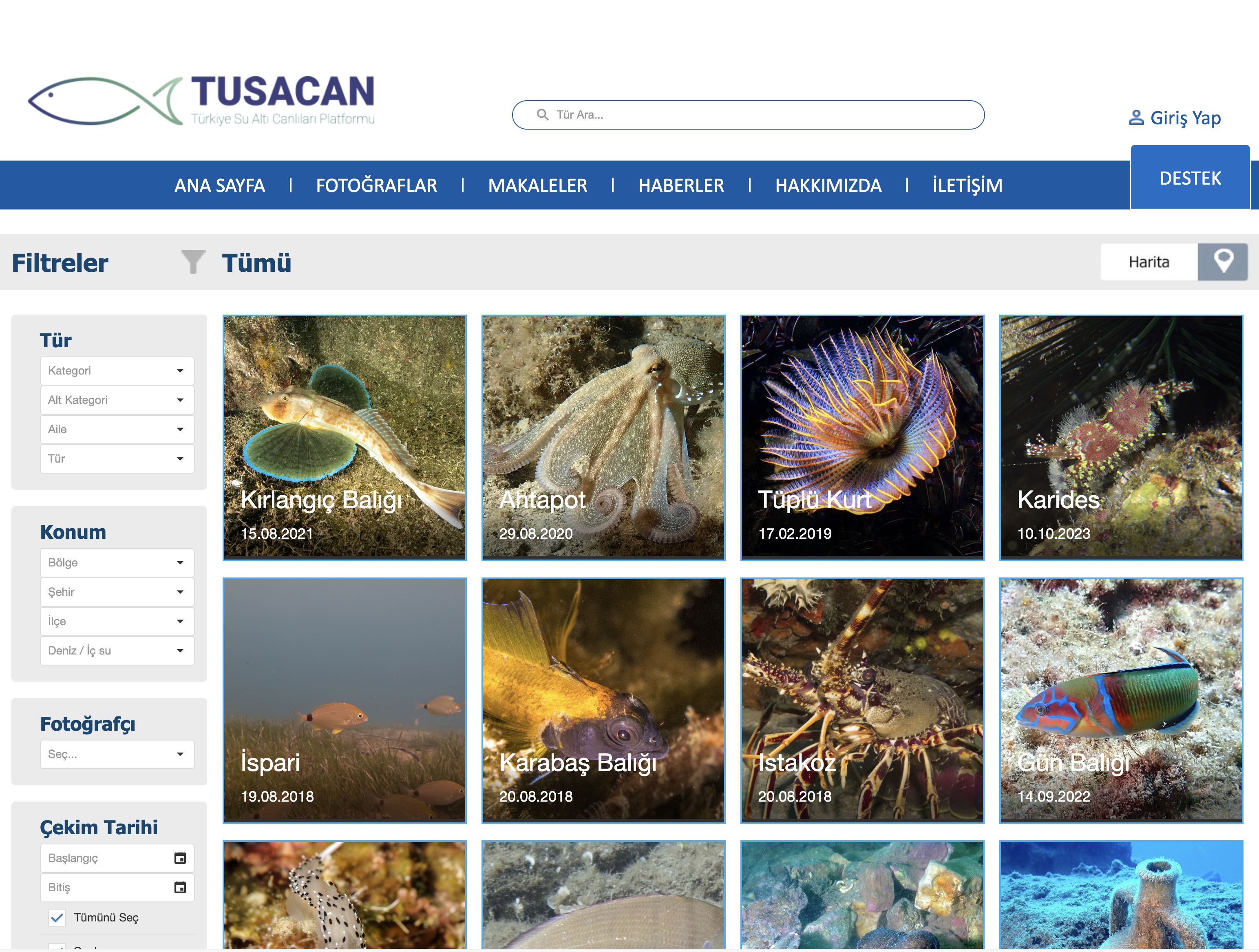 tusacan2